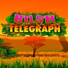 Bush Telegraph screenshot